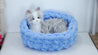 Pet Bed