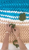 Add a Turtle to a Beach blanket