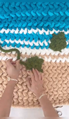 Add a Turtle to a Beach blanket
