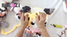 Baby cow, Video tutorial