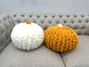 DIY Kit: Pumpkin, Jumbo Chenille