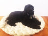 Oval Dog Bed, Merino Wool