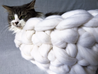 Cat Bed, Merino Wool, 16 inches